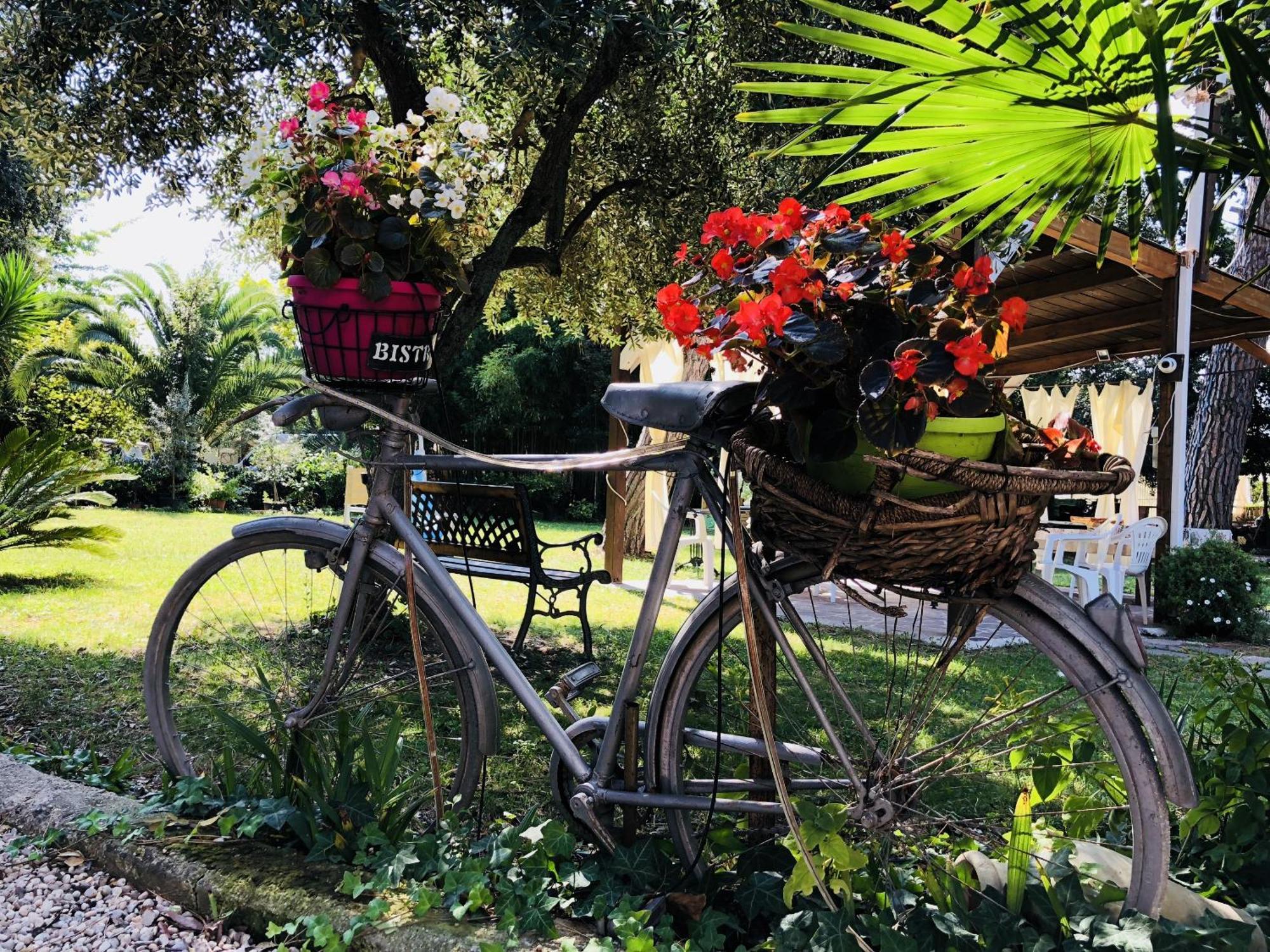 Villa Berghella Montesilvano Marina Extérieur photo